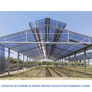 POLICARBONAT PENTRU SERA TRANSPARENT 2.5 MM